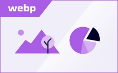 Page 7 of the auditors report of the consolidated financial statements (photo)