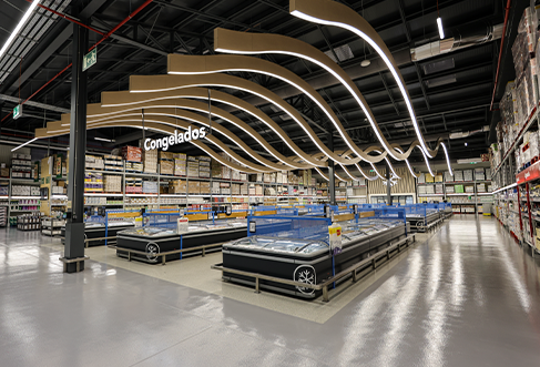 Frozen food section of Recheio (photo)