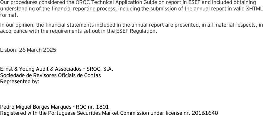 Page 5 of the auditors report of the individual financial statements (photo)