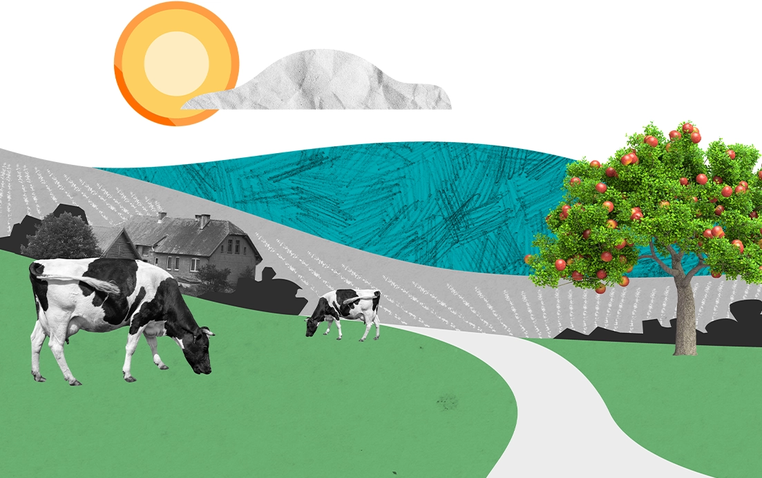 Collage showing grazing cows, an apple tree, a farmhouse and the sun behind a cloud over a hill. (photo)