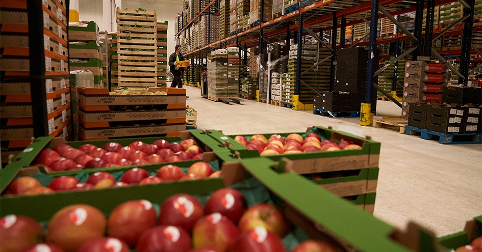 Inside of a distribution centre with crates of apples in the foreground (photo)