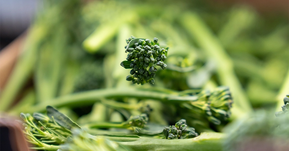 Close-up of brokkolini (photo)