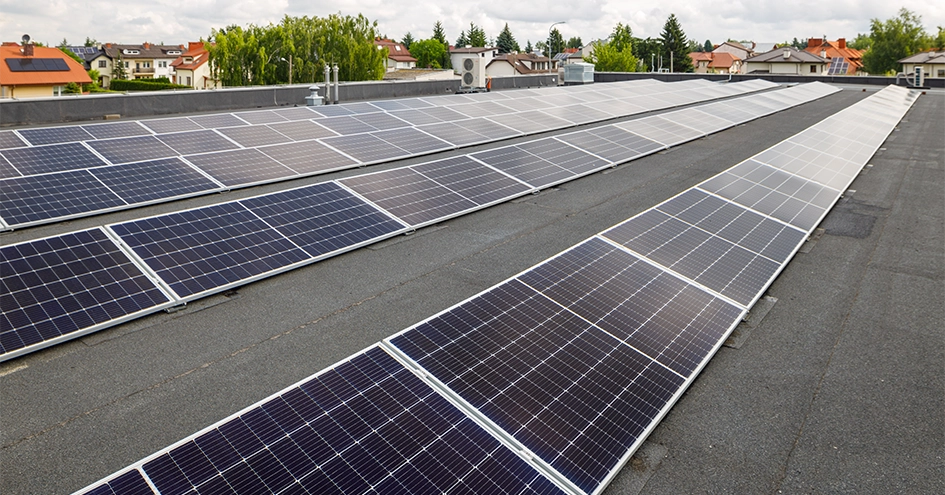 Close-up of solar panels on the roof of a Biedronka store (photo)