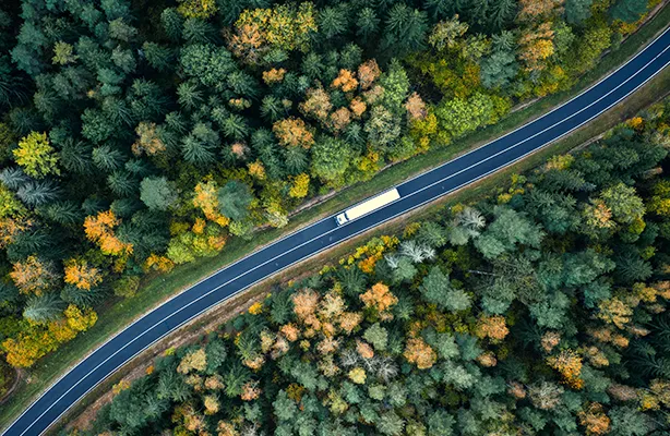 A truck on a road viewed from above with dense forest on both sides of the road (photo)