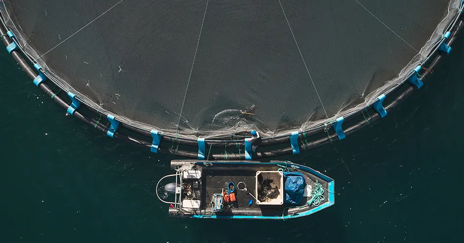 Aerial view of a fishing boat next to na aquaculture cage (photo)