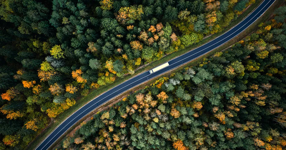 A truck on a road viewed from above with dense forest on both sides of the road (photo)