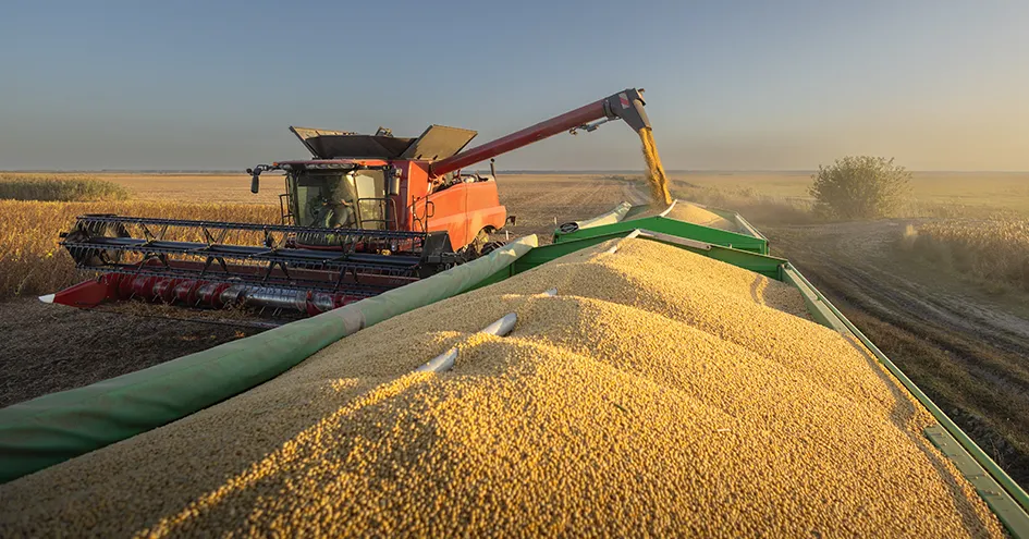 A soybean harvester at work on a sunny day. (photo)