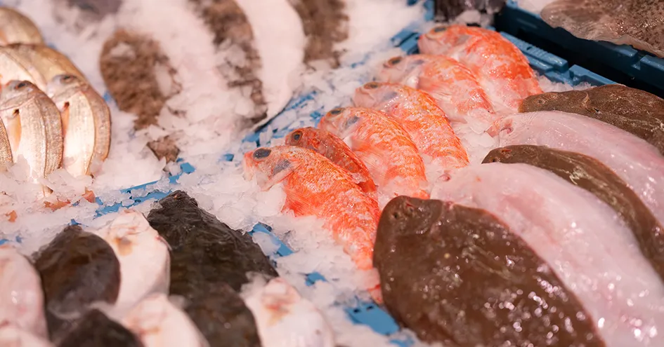A close-up of different fish on ice in crates (photo)