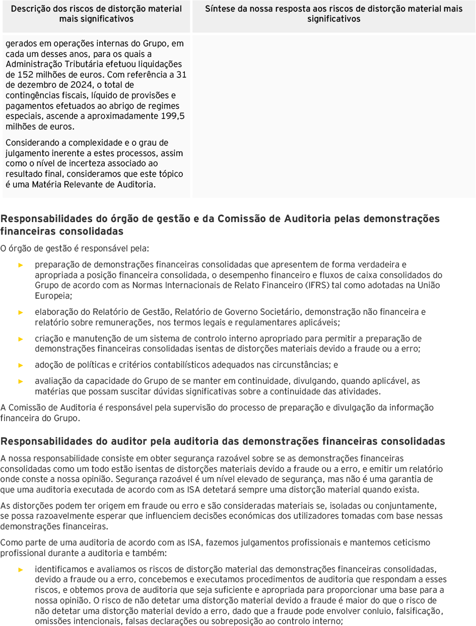 Página 4 do relatório dos auditores das demonstrações financeiras consolidadas (foto)