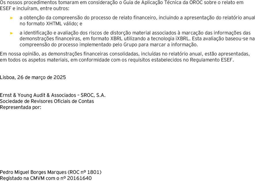 Página 7 do relatório dos auditores das demonstrações financeiras consolidadas (foto)