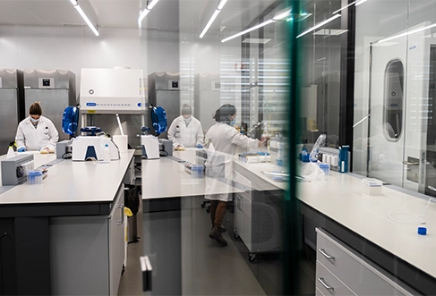 Um laboratório com dois colaboradores a trabalhar em amostras. (foto)