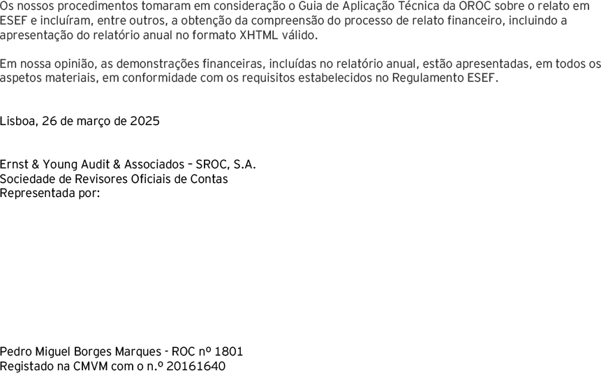 Página 5 do relatório de auditoria das contas individuais (foto)