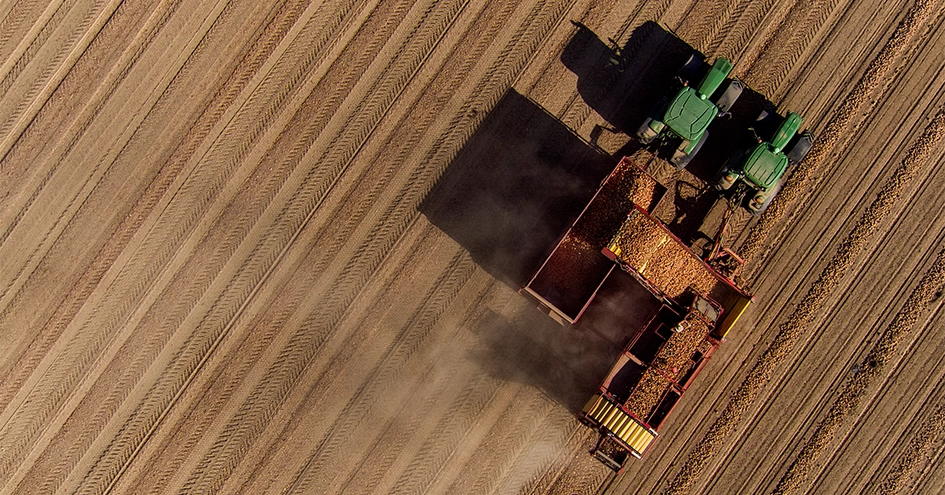 Dois tractores a fazer a colheita num campo, visto de cima (foto)