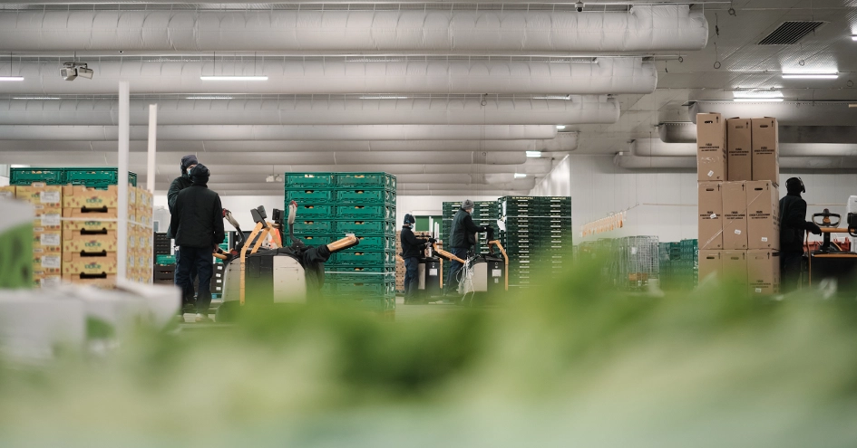 colaboradores a mover paletes num centro de distribuição (foto)