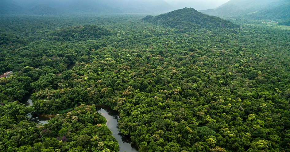 Vista aérea de uma floresta tropical com um rio em primeiro plano e montanhas em segundo plano (foto)