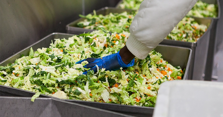 Plano fechado de um colaborador com luvas azuis a lavar salada pré cortada (foto)