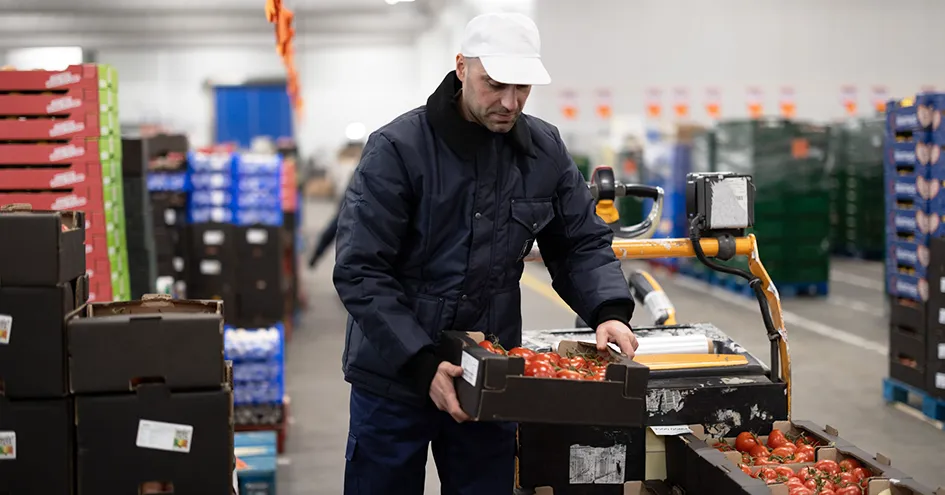 Um colaborador a manusear uma caixa de tomates num centro de distribuição, ao lado de uma empilhadora com mais caixas de tomates (foto)