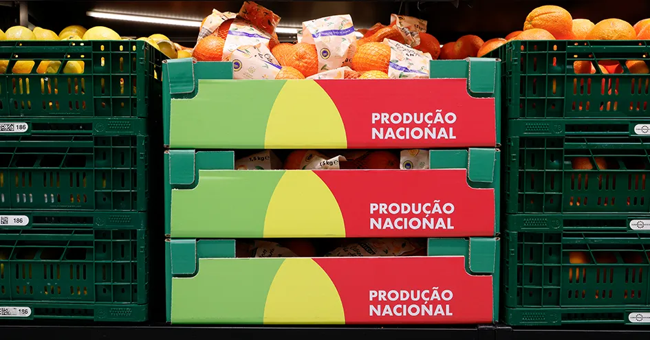 Close-up de três caixas de citrinos (limões à esquerda, laranjas no meio e à direita). A caixa do meio é de papel, as outras duas de plástico. (foto)