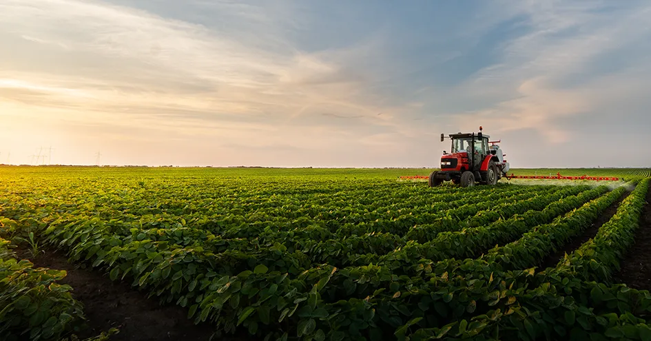 Um trator a trabalhar num campo de soja num dia ensolarado. (foto)