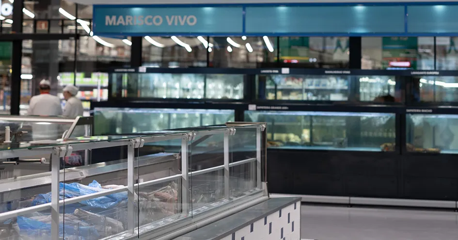Secção de peixe numa loja (foto)